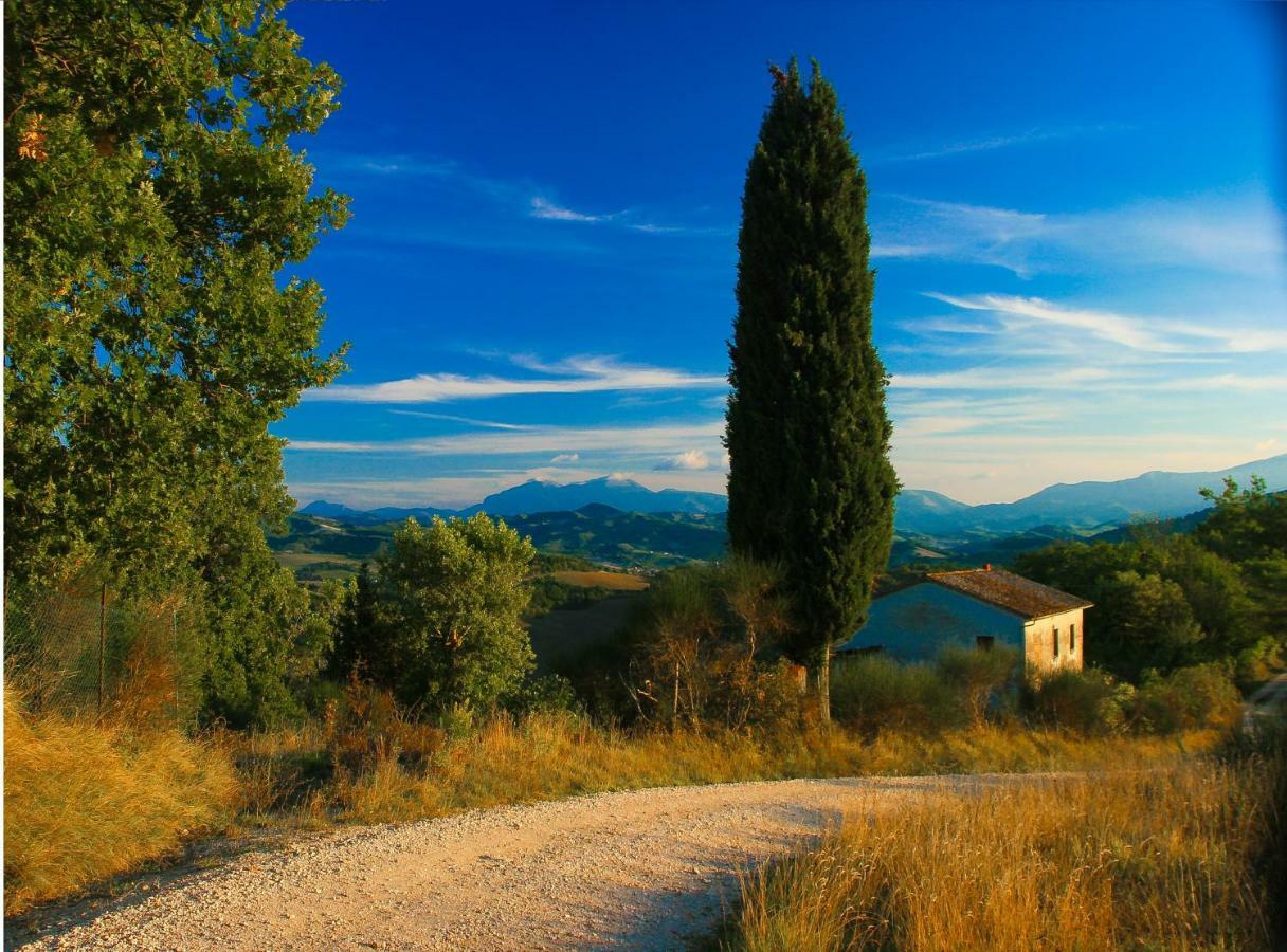 Ca'Lavalle B&B Urbino Extérieur photo